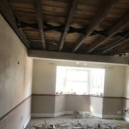 Lounge Lath and Plaster Ceiling